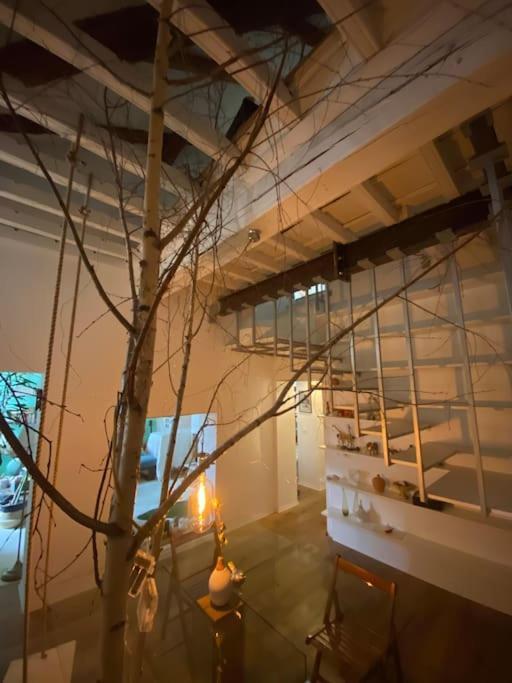 Casa Degli Alberi Lejlighed Torino Eksteriør billede