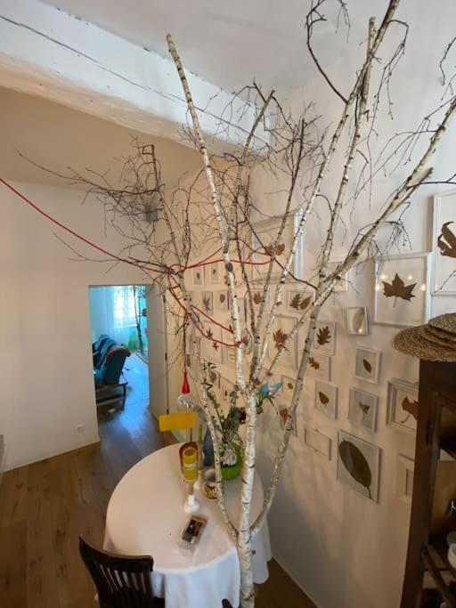 Casa Degli Alberi Lejlighed Torino Eksteriør billede