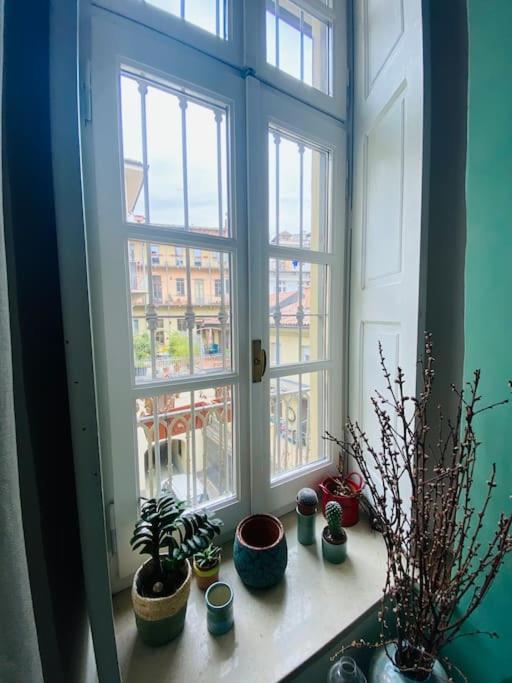 Casa Degli Alberi Lejlighed Torino Eksteriør billede