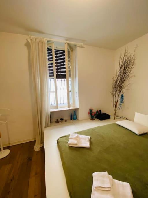 Casa Degli Alberi Lejlighed Torino Eksteriør billede