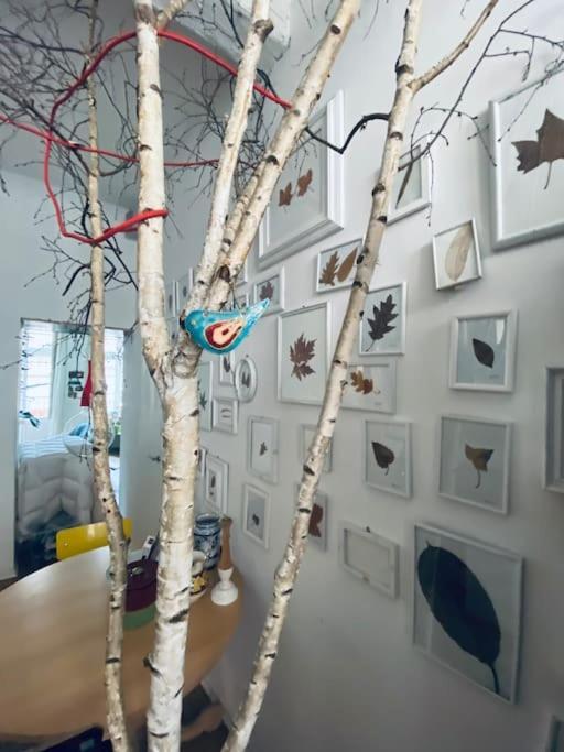 Casa Degli Alberi Lejlighed Torino Eksteriør billede