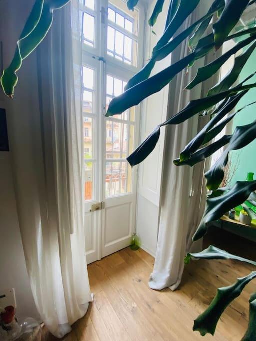 Casa Degli Alberi Lejlighed Torino Eksteriør billede