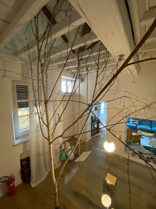 Casa Degli Alberi Lejlighed Torino Eksteriør billede