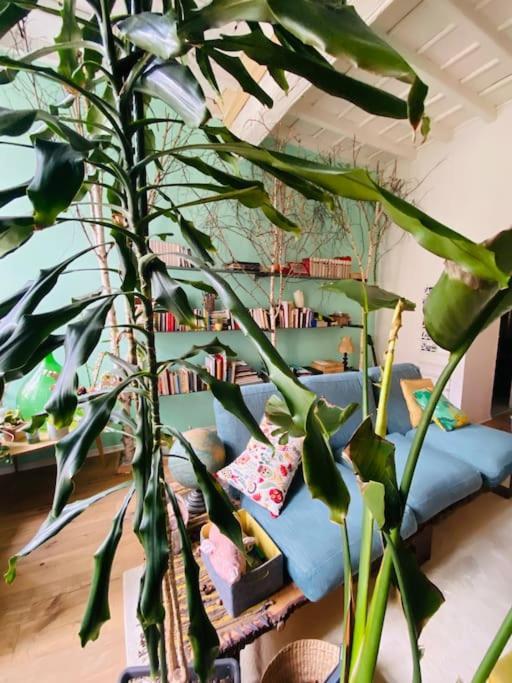 Casa Degli Alberi Lejlighed Torino Eksteriør billede