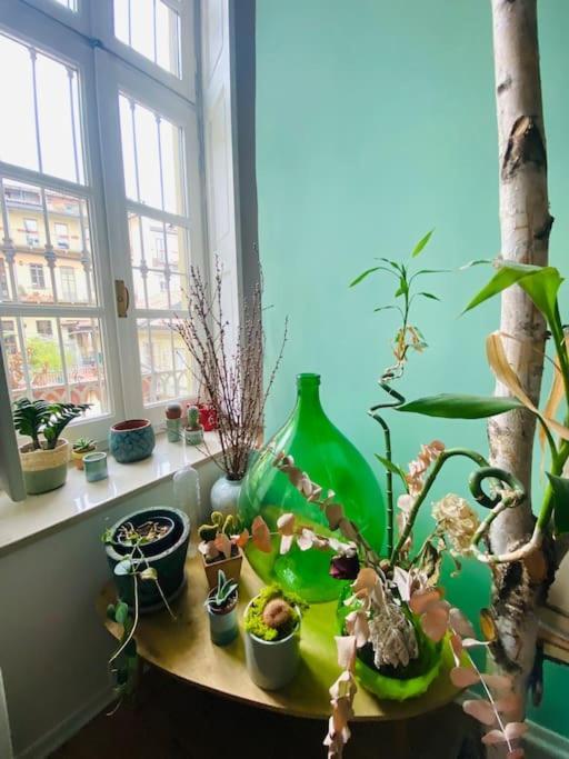 Casa Degli Alberi Lejlighed Torino Eksteriør billede